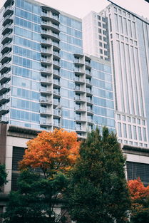 茂名装饰公司十大排名（茂名前十装饰公司）