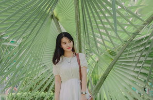 中国最迷人的编制，中国编制多少人