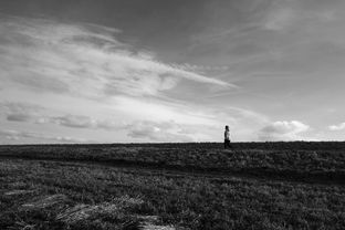 中国排兵最震撼，中国排兵最震撼的音乐