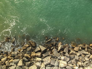 世界上最恐怖泥潭图片，世界上最恐怖的深潭