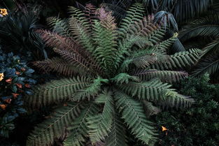 变异生物长什么样，变异生物十大排名