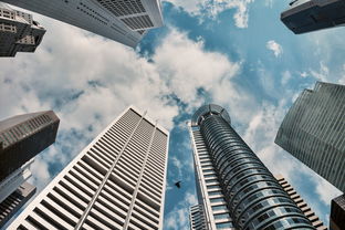 世界保税城市排名前十有哪些，世界保税城市排名前十