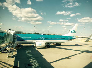 世界哪个机场面积最大，世界三大机场面积排名前十